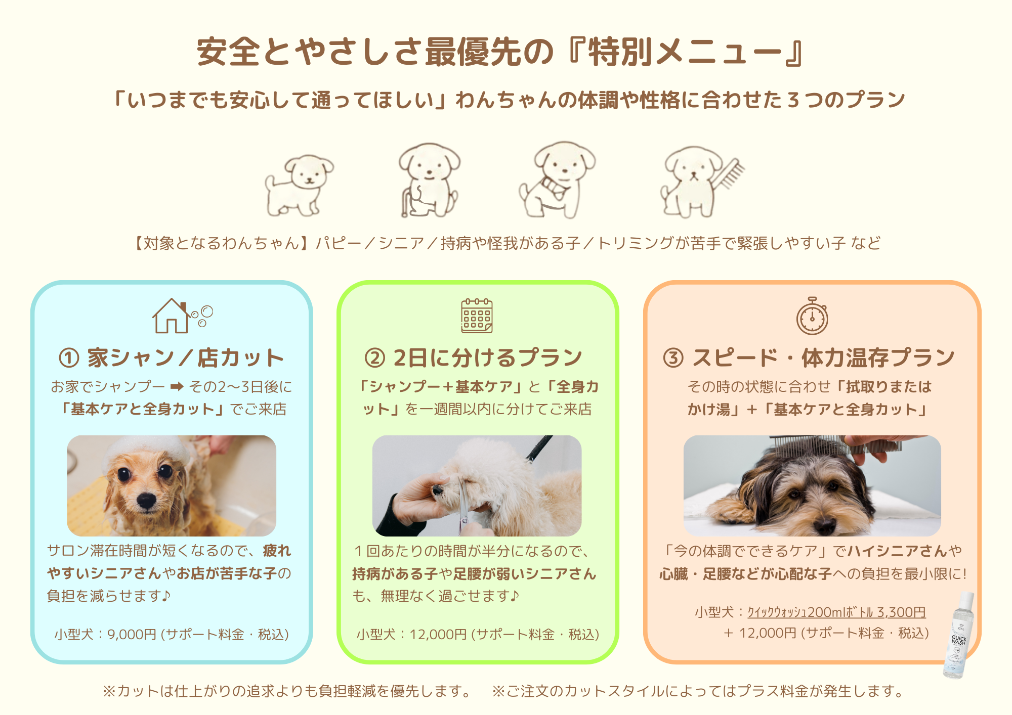 シニア犬向けの負担軽減トリミングメニュー案内